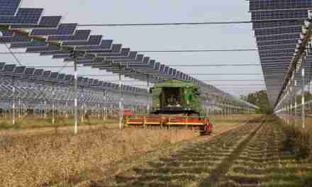 Rinnovabili: l’agrovoltaico è il futuro