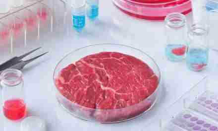 Carne sintetica, arriva il via libera definitivo al ddl: cosa prevede